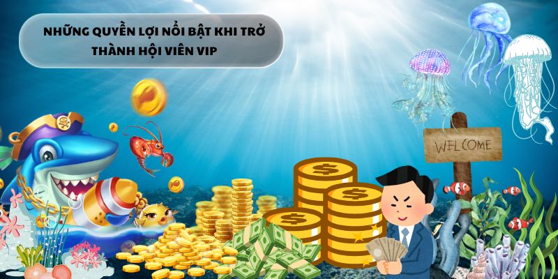 Tăng trải nghiệm, nhân đôi thưởng – Ưu đãi VIP luôn vượt trội