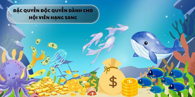  Xu vàng, vật phẩm hiếm và hỗ trợ riêng – Đặc quyền chỉ dành cho VIP.